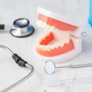 歯周病をアルツハイマーの人にもわかりやすく説明するための歯の模型と聴診器
